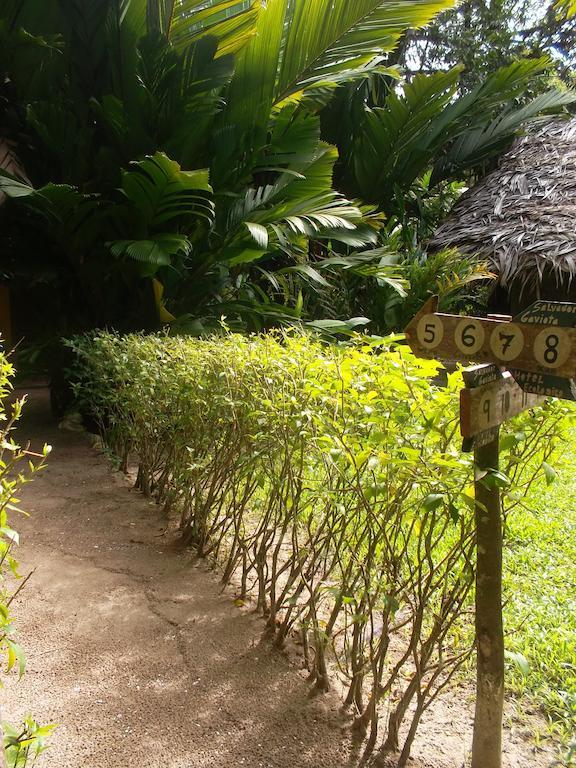 Hotel Salvador Gaviota Livingston Ngoại thất bức ảnh